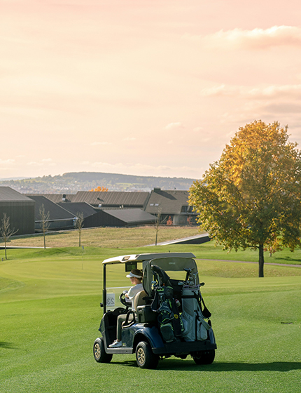 Golf Cart Battery